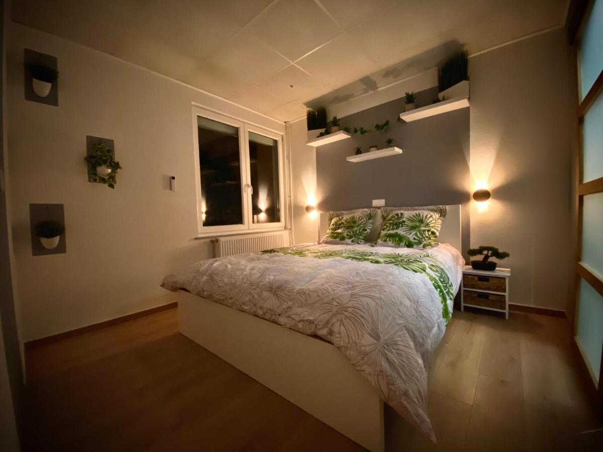 Logements Equipes A Onnaing Avec Espace Balneo En Option Proche Toyota, Autoroute Et Valenciennes Екстер'єр фото